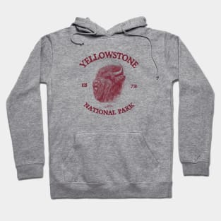 Yellowstone National Park, Tough Old Bison Hoodie